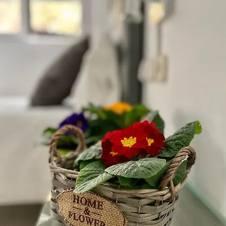 Guest house Lleida